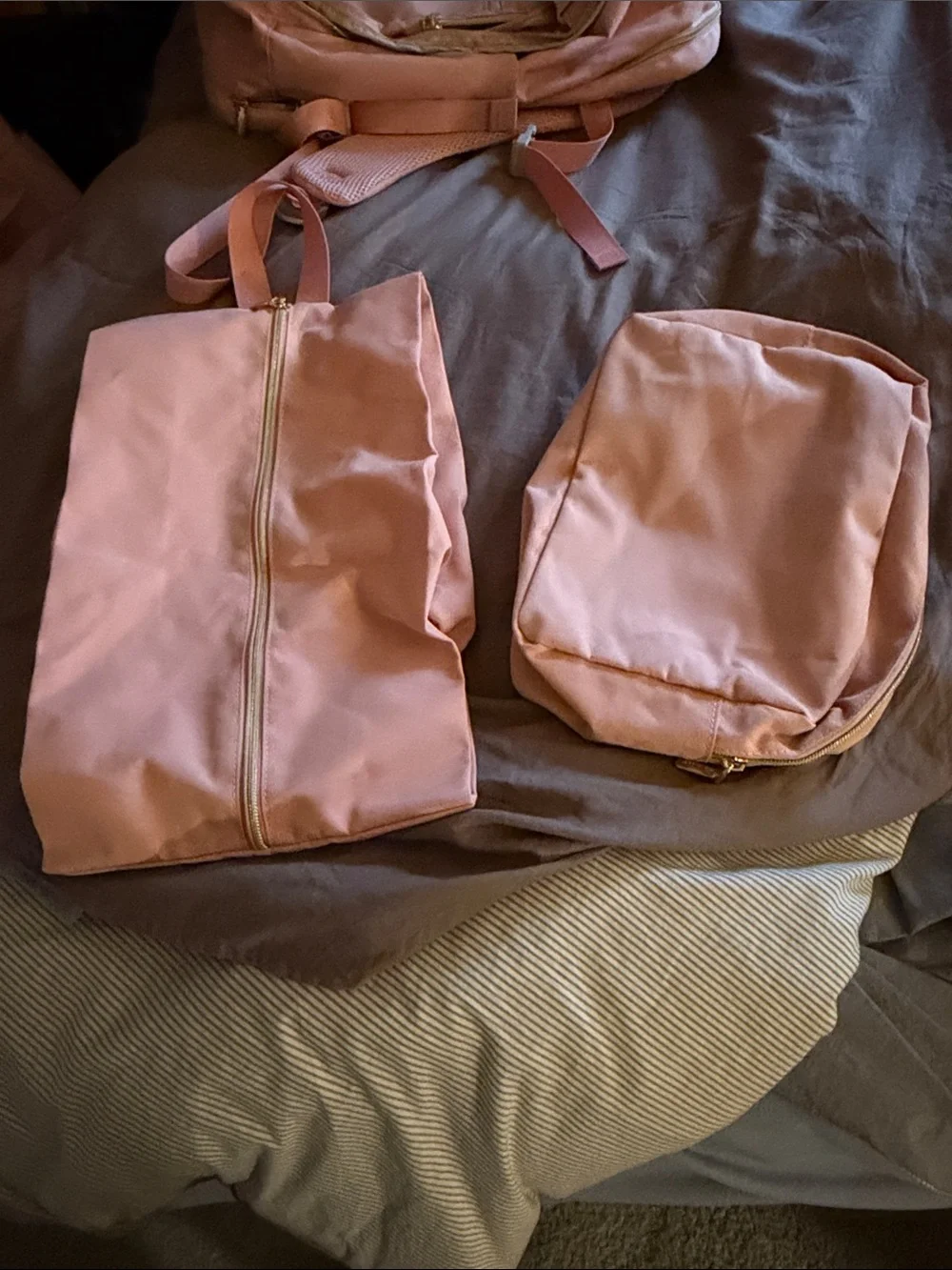 Lovenook Light Pink Travel Backpack with Gold Hardware